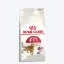 Picture of Royal Canin Fit 32 Adult Dry Cat Food